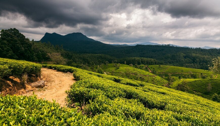 Nuwara Eliya